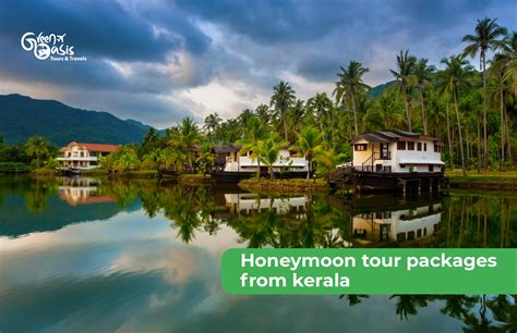 mega link kerala|Oasis.